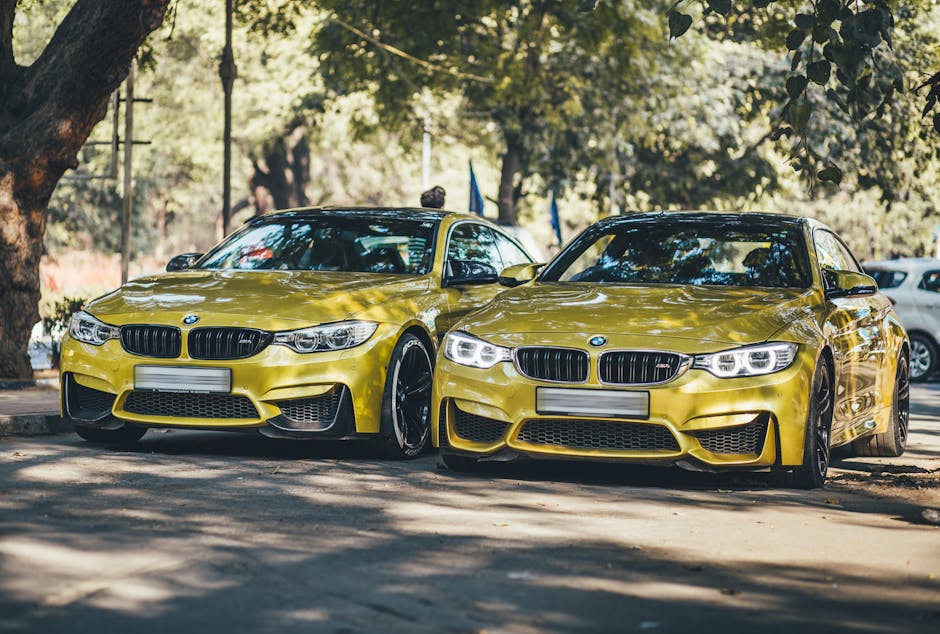 Two luxury BMW cars parked under trees in New Delhi on a sunny day.