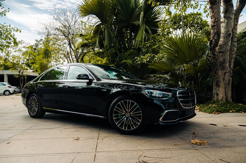 Luxury black Mercedes Benz parked among lush greenery and palm trees.